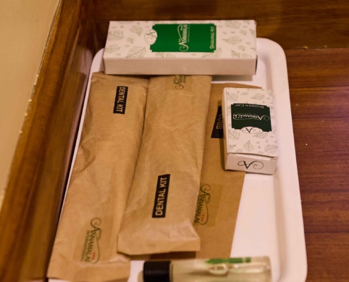 Family Royal Suite (45)